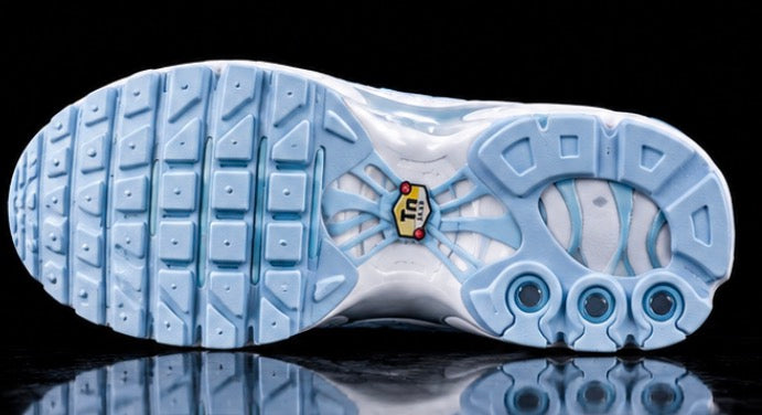 Nike Air Max Plus TN “Marseille
