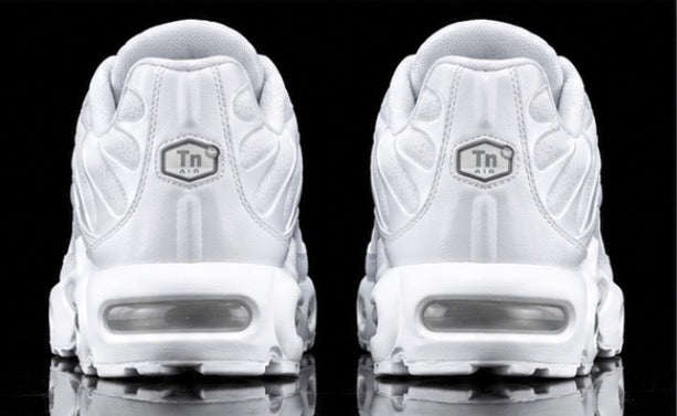 Nike Air Max Plus TN White