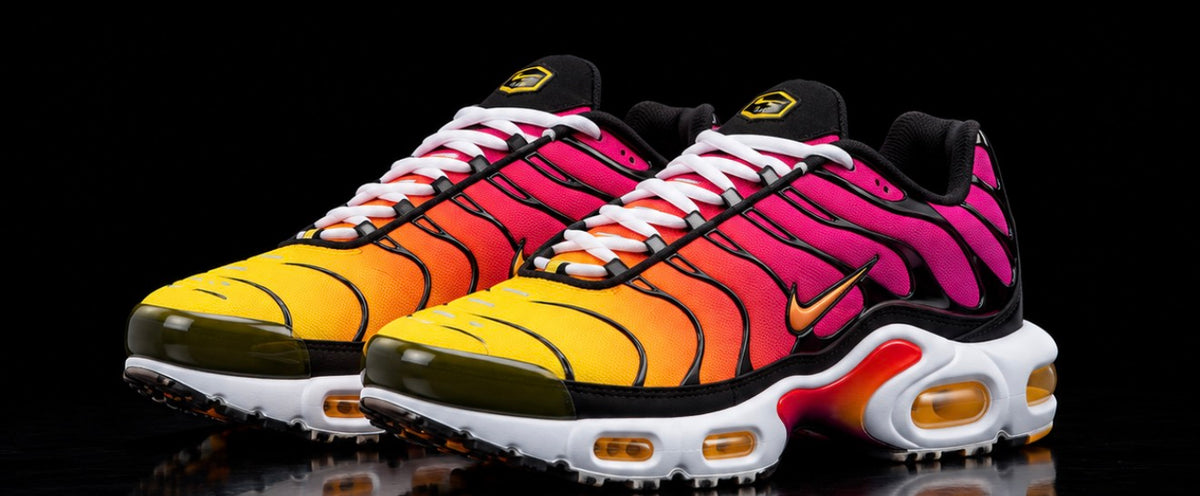 Nike Air Max Plus TN Rainbow