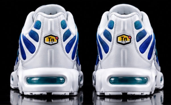 Nike Air Max Plus TN Aqua