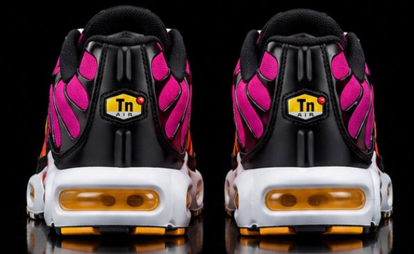 Nike Air Max Plus TN Rainbow