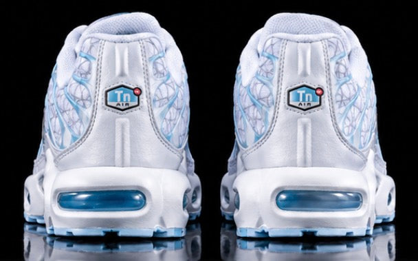 Nike Air Max Plus TN “Marseille
